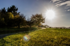 Landschaft