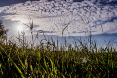 Landschaft