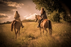 Western