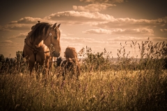 Western