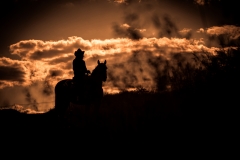 Western